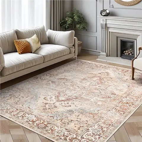 AREA RUG