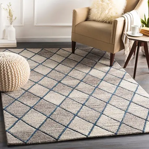 HAND TUFED RUG